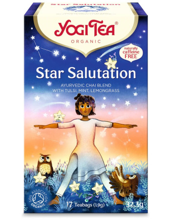 Yogi Tea Luomu StarSalut 17pss