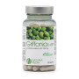Natura Media Griffonia 5-HTP 80 kaps 