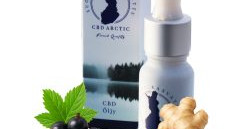 CBD ARCTIC 30 % CBD Mustaherukansiemenöljy + Inkivääri