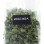 Aduki Moringa lehti 35g