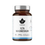 Puhdistamo ilta-magnesium 60 kaps