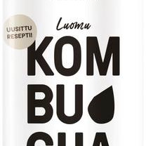 Puhdistamo Luomu Kombucha Cola 400ml 