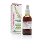 Soria Composor 31 Meno-Regul Complex XXI Formula 50ml