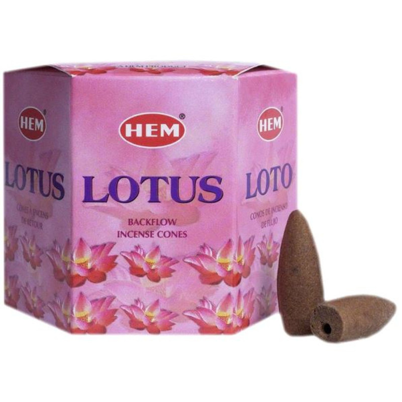 Hem Lotus ' Backflow' kartiosuitsukkeet 40kpl